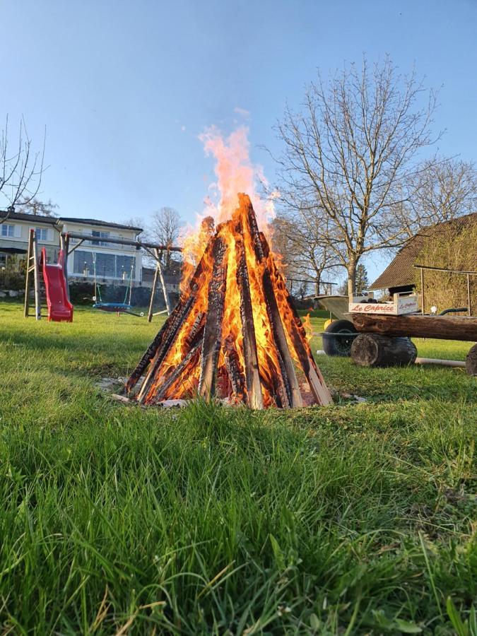 Ferienhof Leopold In Der Grub Ort im Innkreis Exteriér fotografie
