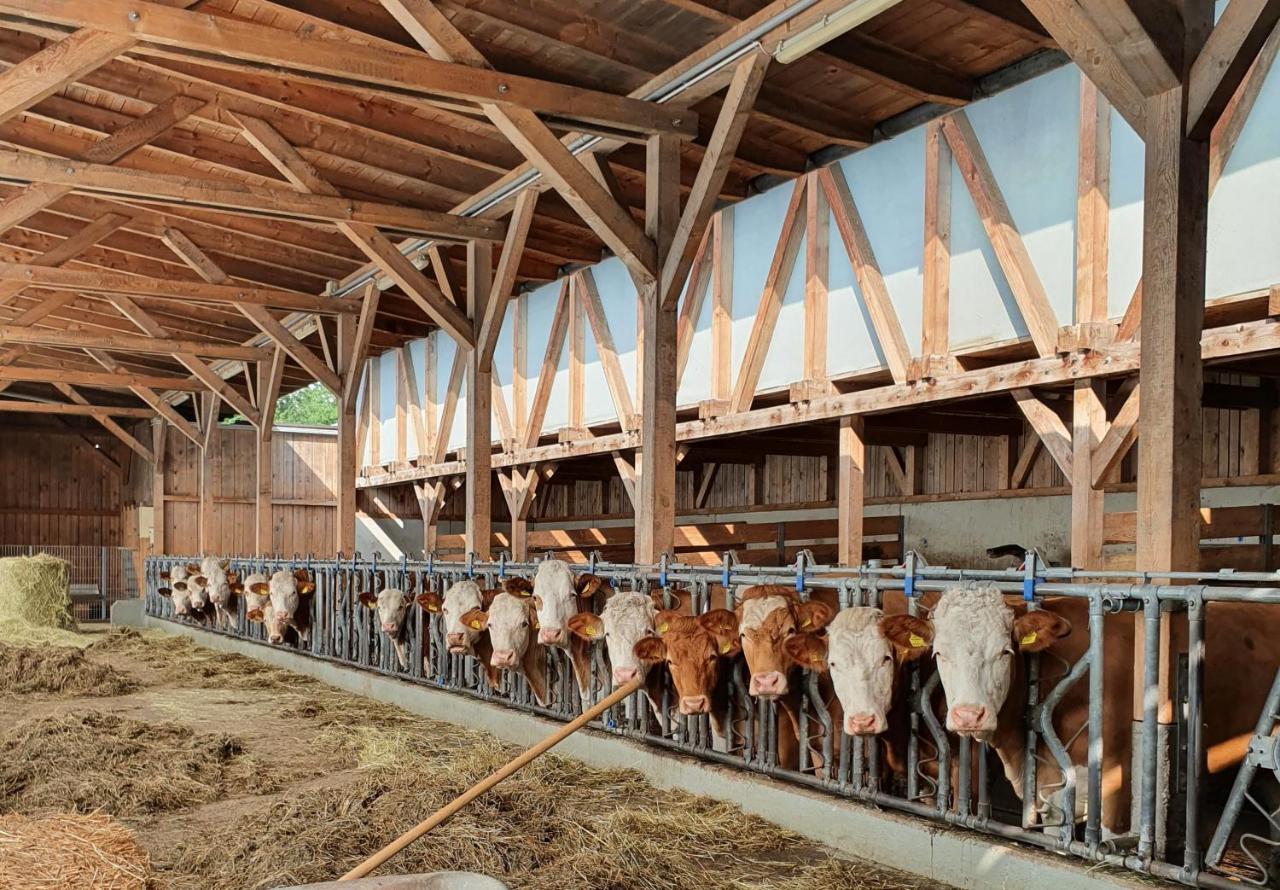 Ferienhof Leopold In Der Grub Ort im Innkreis Exteriér fotografie